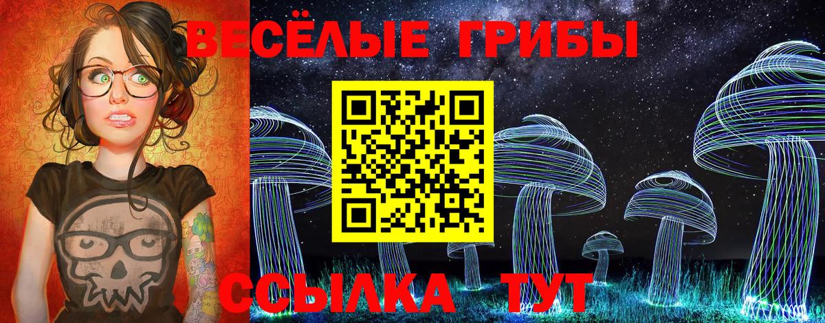 Кизляр  Галлюциногенные грибы Cubensis  Вход с VPN 